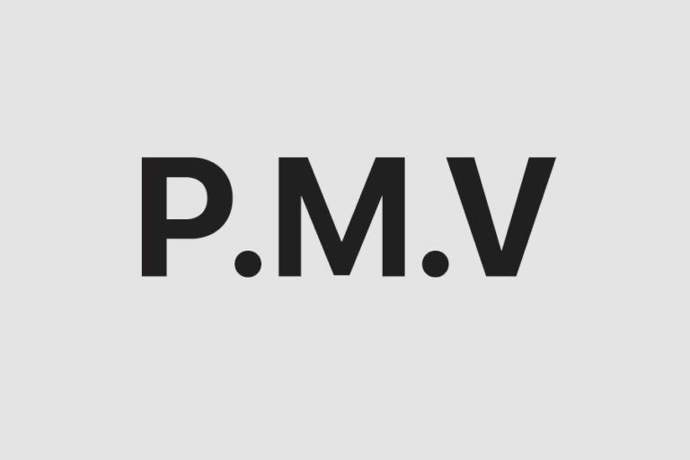 Qué es un PMV y cómo construirlo